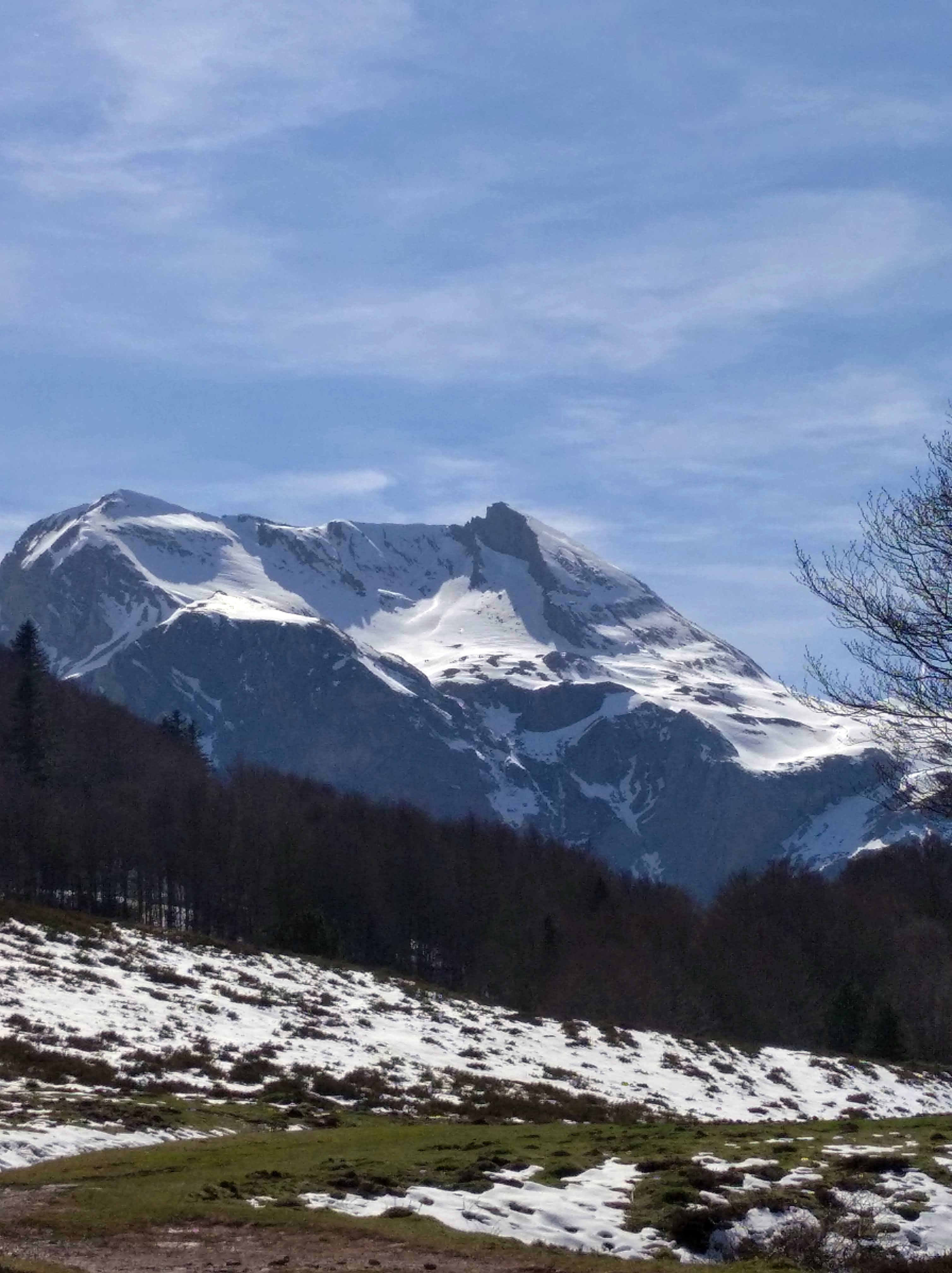 NAVARRA