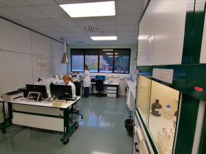 Laboratorio de Espectrometría